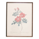 roses imprimées sur cadre en bois vintage