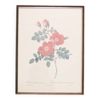 vintage wooden frame print roses