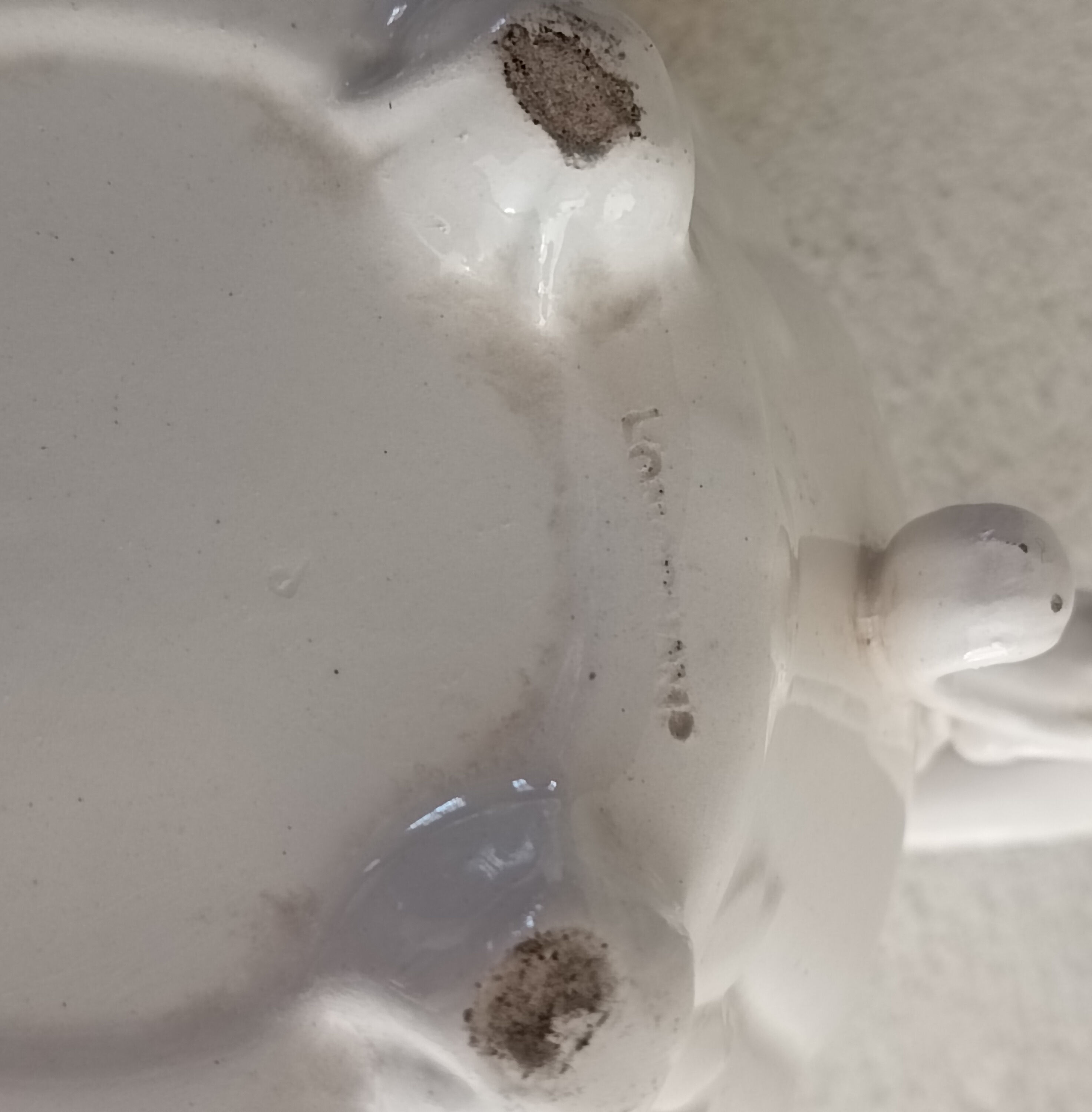 Longchamp Iron Earth Teapot