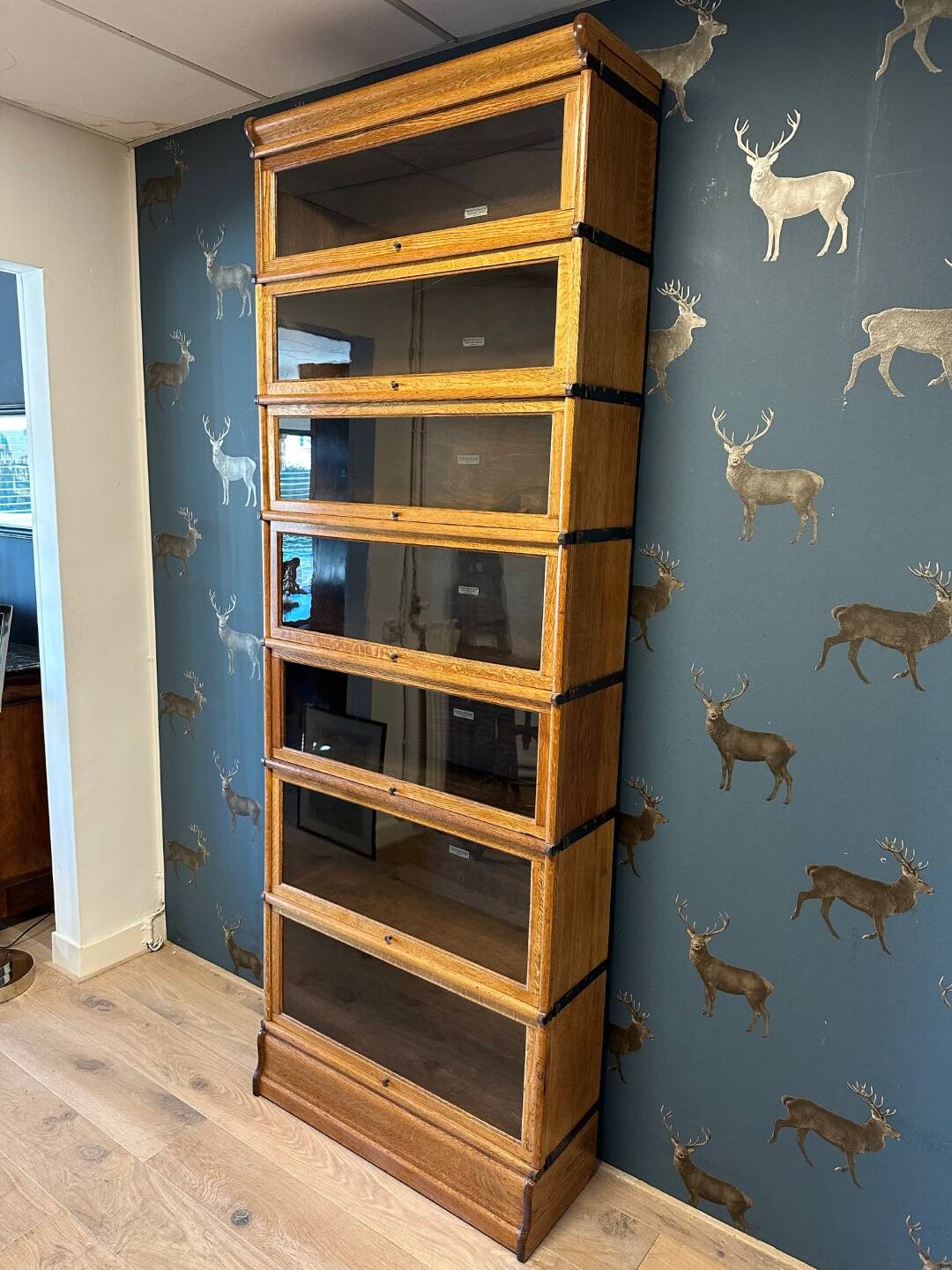 Antique Globe Wernicke Bookcase