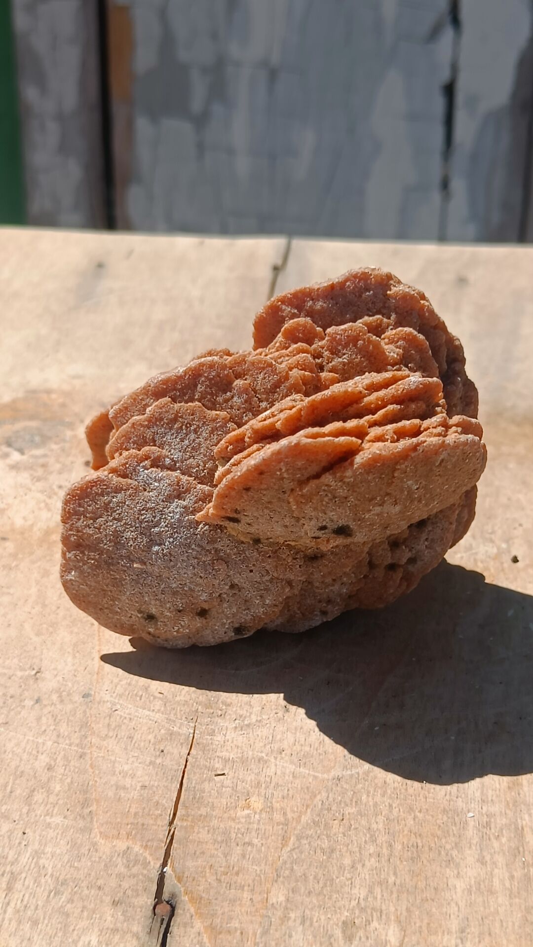 Natural sand rose