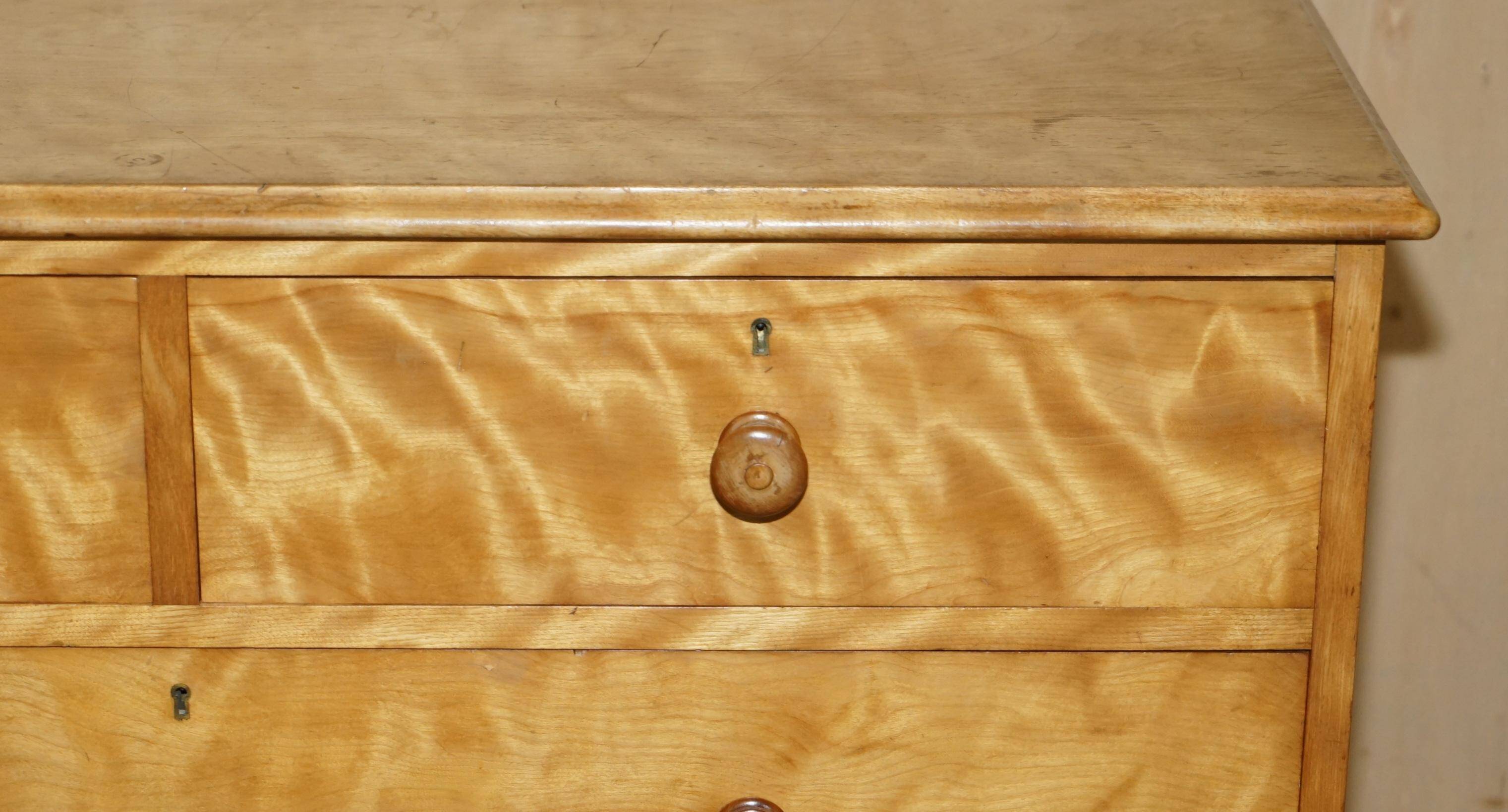 Victorian Commode in Satin Birch by Holland & Sons 1880