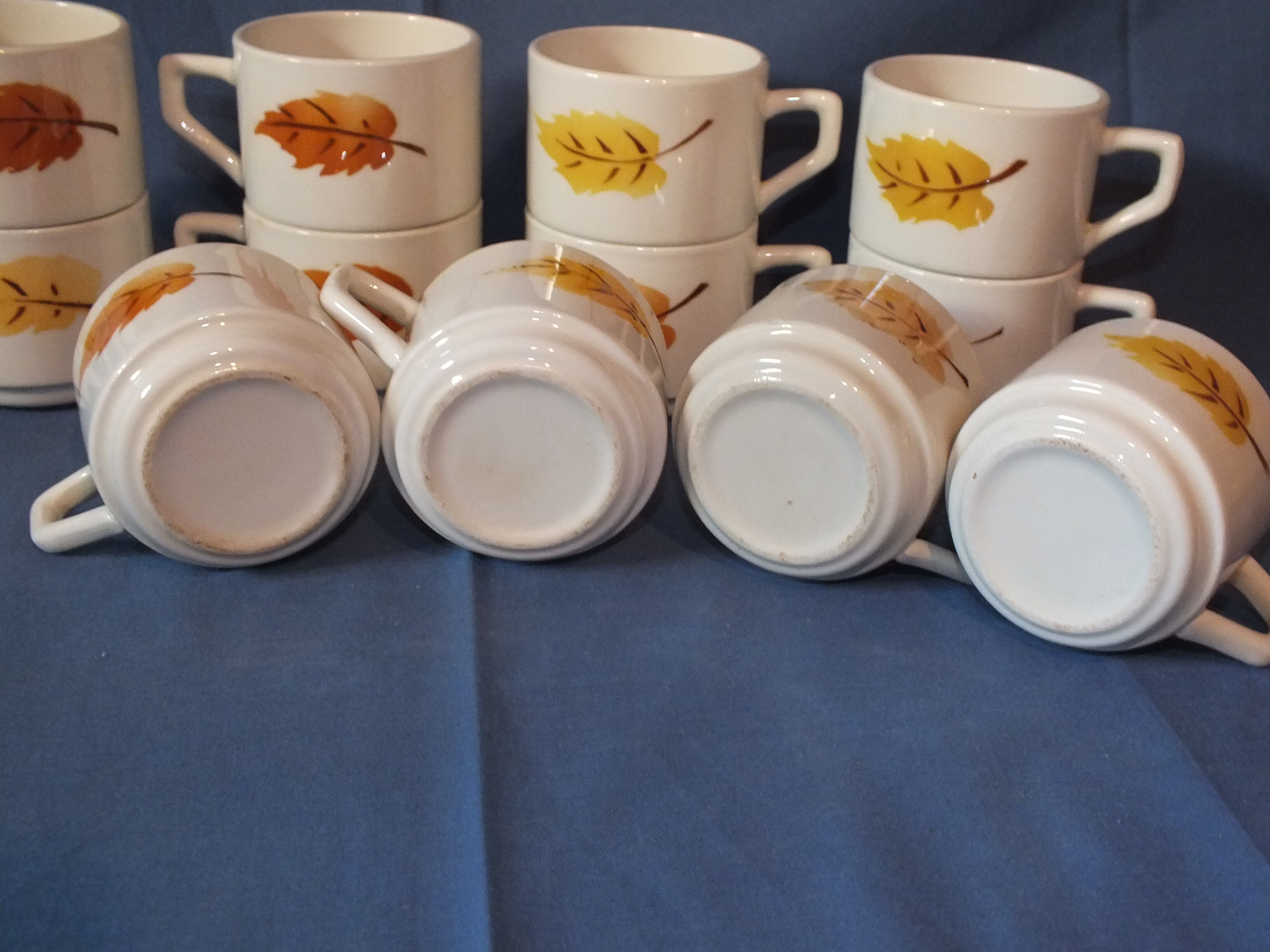 12 cups vintage Mill of Wolves decoration autumn leaves