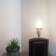 Lamp base
