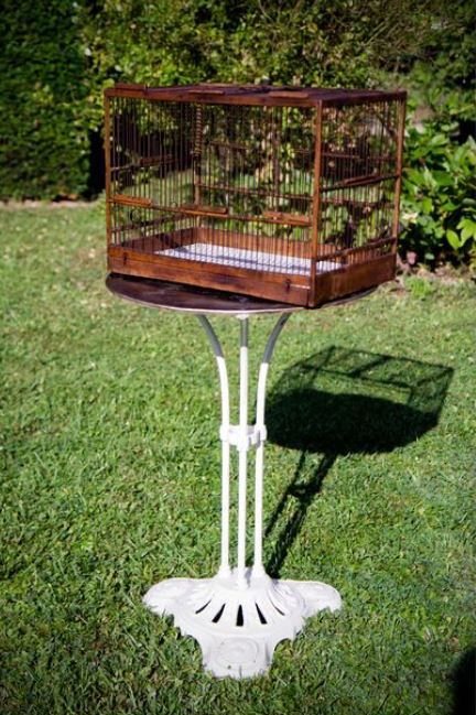 Wooden birdcage year 50