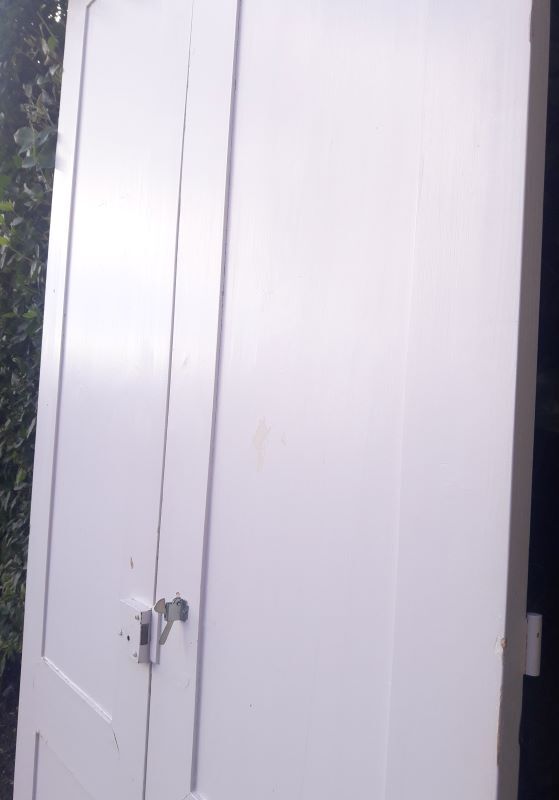 Pair of doors 229,5x110cm closet