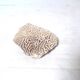 Natural white coral
