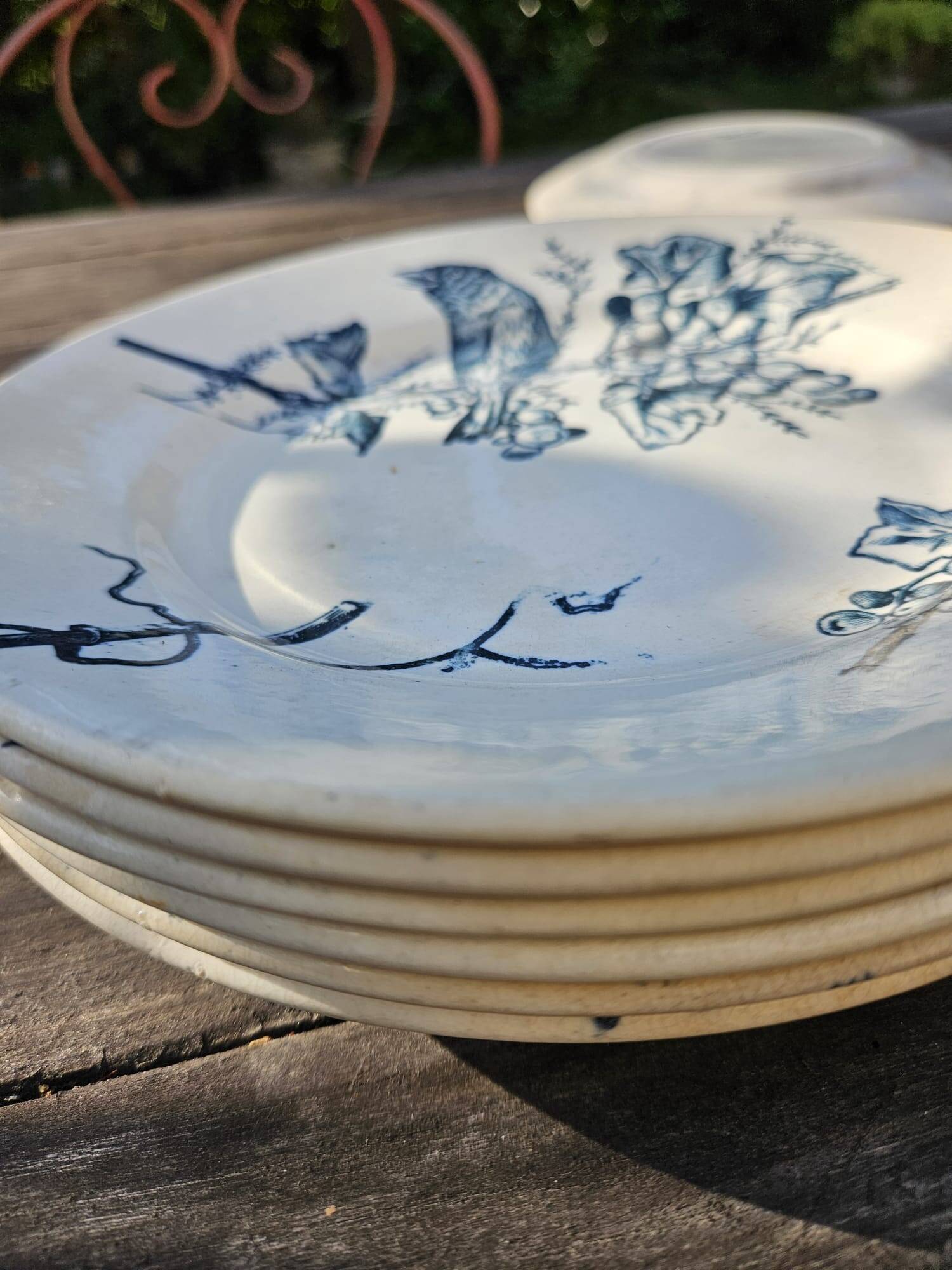 Antique 19th century plate, Terre de Fuego, blue with bird motif