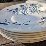 Assiette ancienne 19 eme terre de feu, bleu motif oiseau