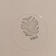 10 Villeroy & Boch Mettlach flower plates
