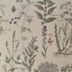 Lithograph medicinal plants (XXV) Chervil Sage Melisse - 1920