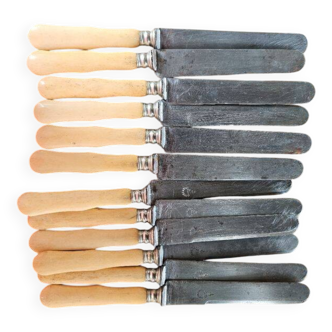Knives: Set of 12