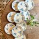 Set of 10 antique flat plates in ironstone, Royat from Sarreguemines.