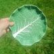 Vintage cabbage slipware plate