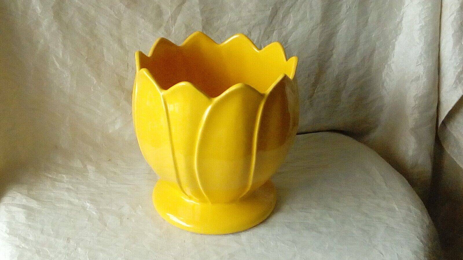 Water lily shaped earthenware pot