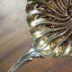 Rocaille style sprinkler in solid silver Minerva