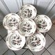 Set of 6 hollow plates Villeroy & Boch model Phoenix years 50-60