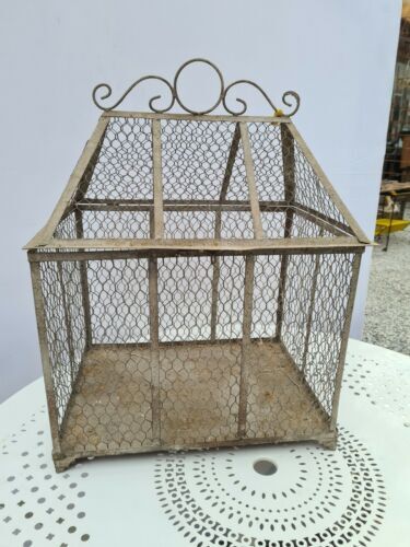 Iron bird cage