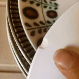 6 plates Boch nut model