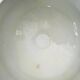 Castres earthenware soup tureen