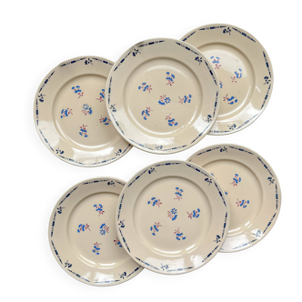 6 assiettes plates porcelaine vintage K&G Luneville "Flore" 1950s petites fleurs bleues