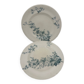 Lot of Longwy plates