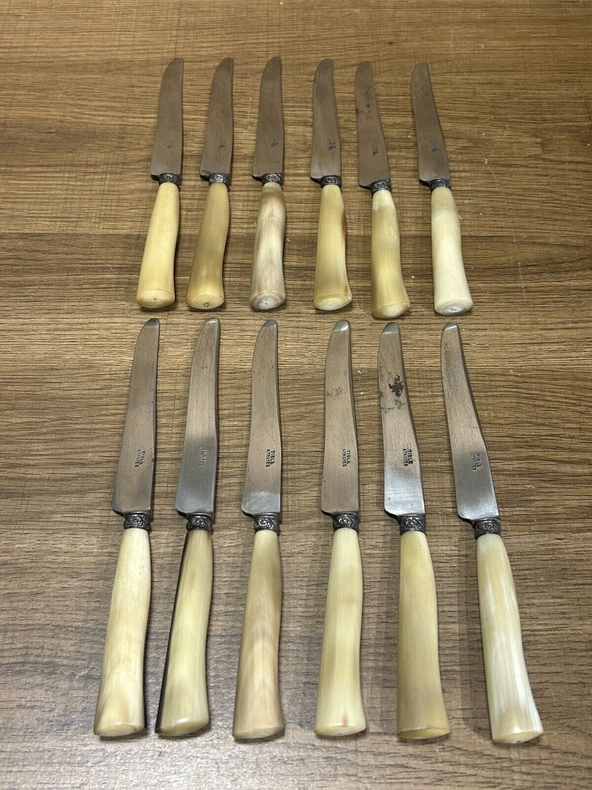 COFFRET DE 12 couteaux à fromage et/ou dessert lame inox manche couleur ivoire EUR 35,00 - FR