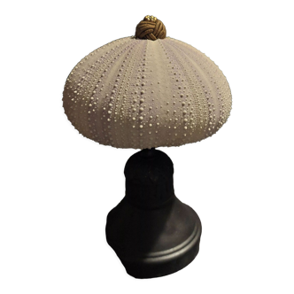 Cabinet of Curiosities sea urchin sphaerechinus granularis on base