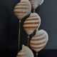 Cabinet of Curiosities globe shells tonna sulcosa