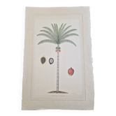 La Roche Laffitte (Born in 1943) - Watercolour drawing on silk - Palm tree