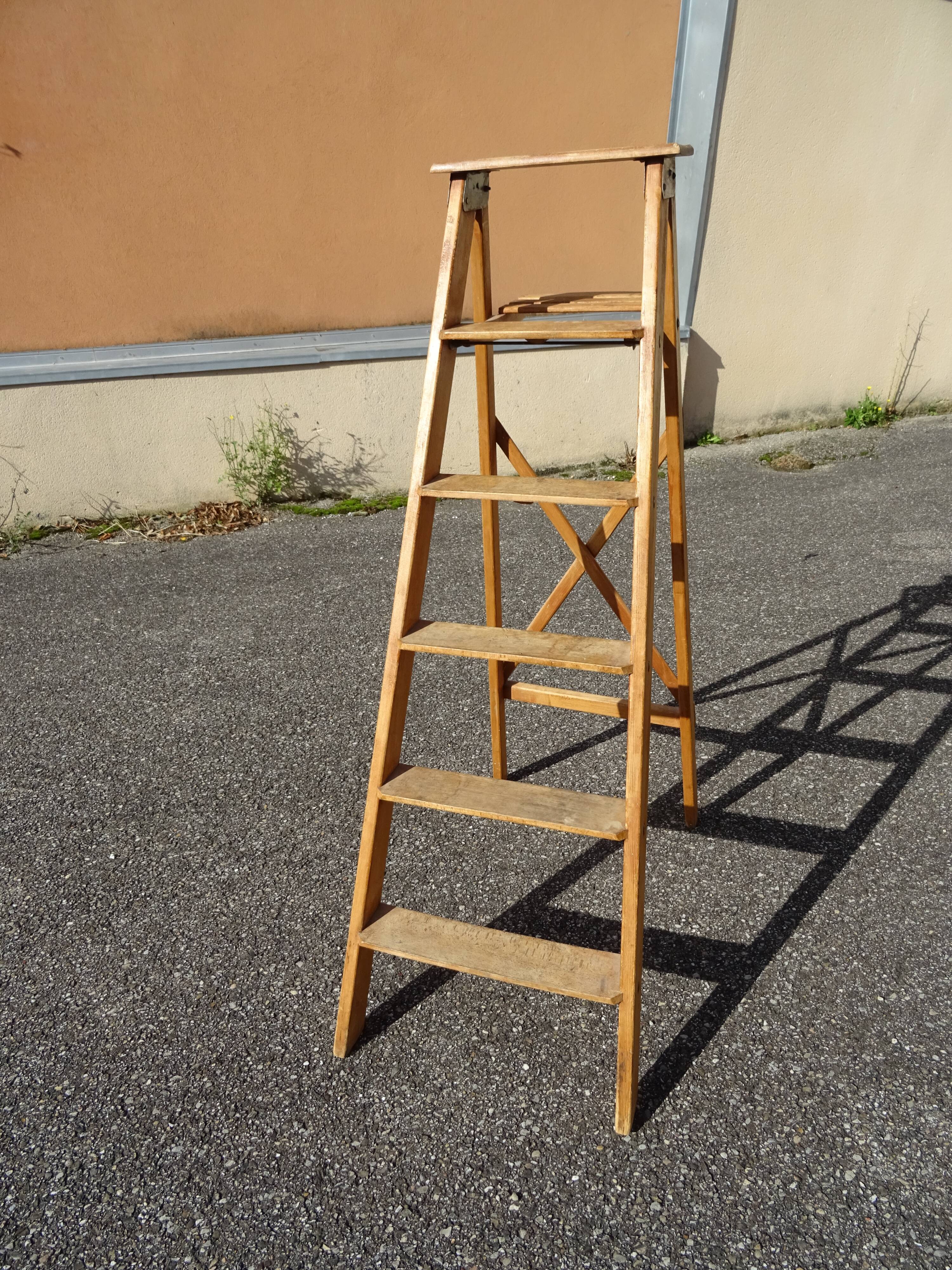 Montana France painter's stepladder
