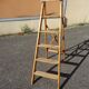 Montana France painter's stepladder
