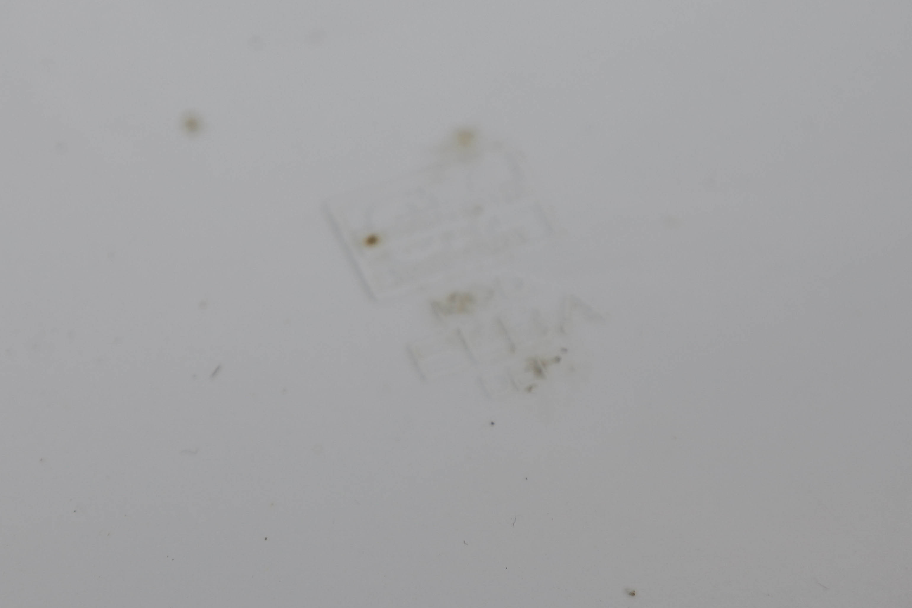 60's white plexi chest stool