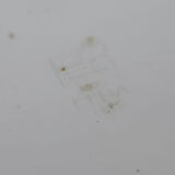 60's white plexi chest stool