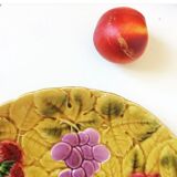 Duo flat plate Slurry pattern fruits