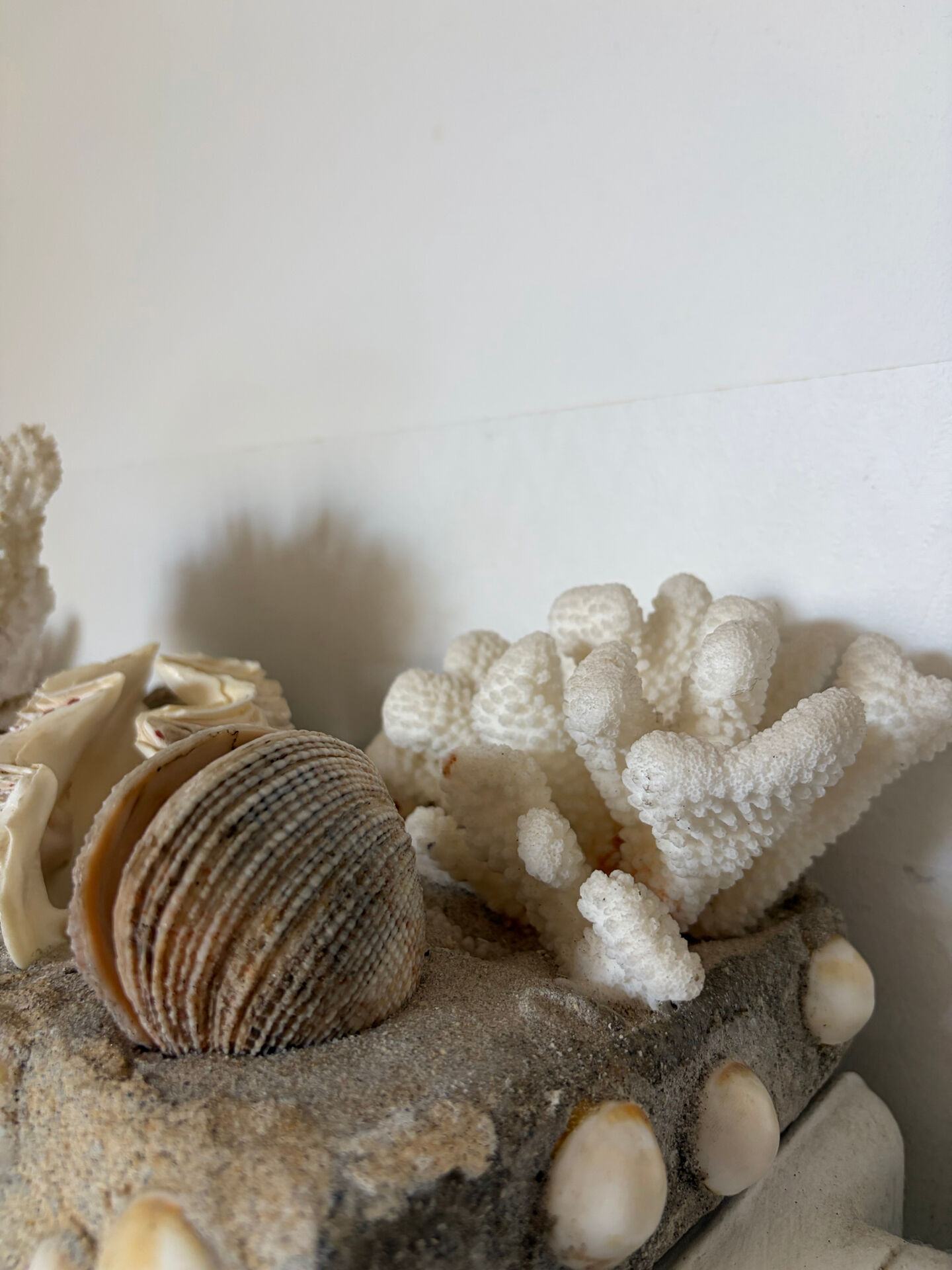 Marine composition