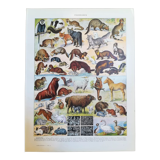 Lithograph on furbearing animals from 1928