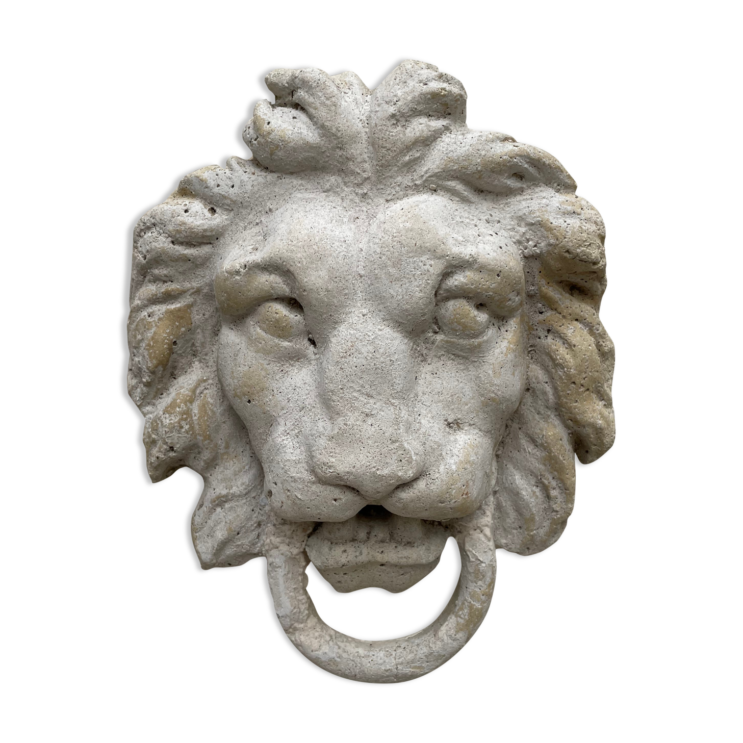 Lion's head