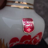 Pair of vases opaline Domec