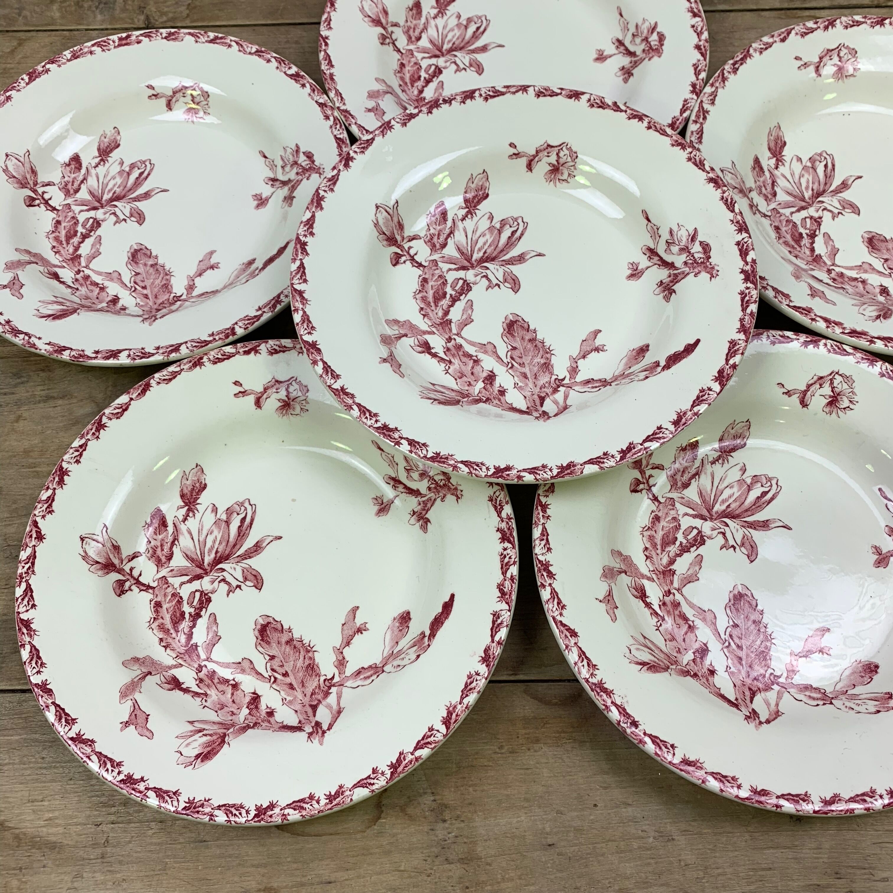 Lot de 6 assiettes creuses modèle Cactus de Gien
