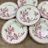 Lot of 6 soup plates model Cactus de Gien