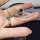 8 verres à pied en cristal fin à porto ou liqueur - Baccarat / Saint louis
