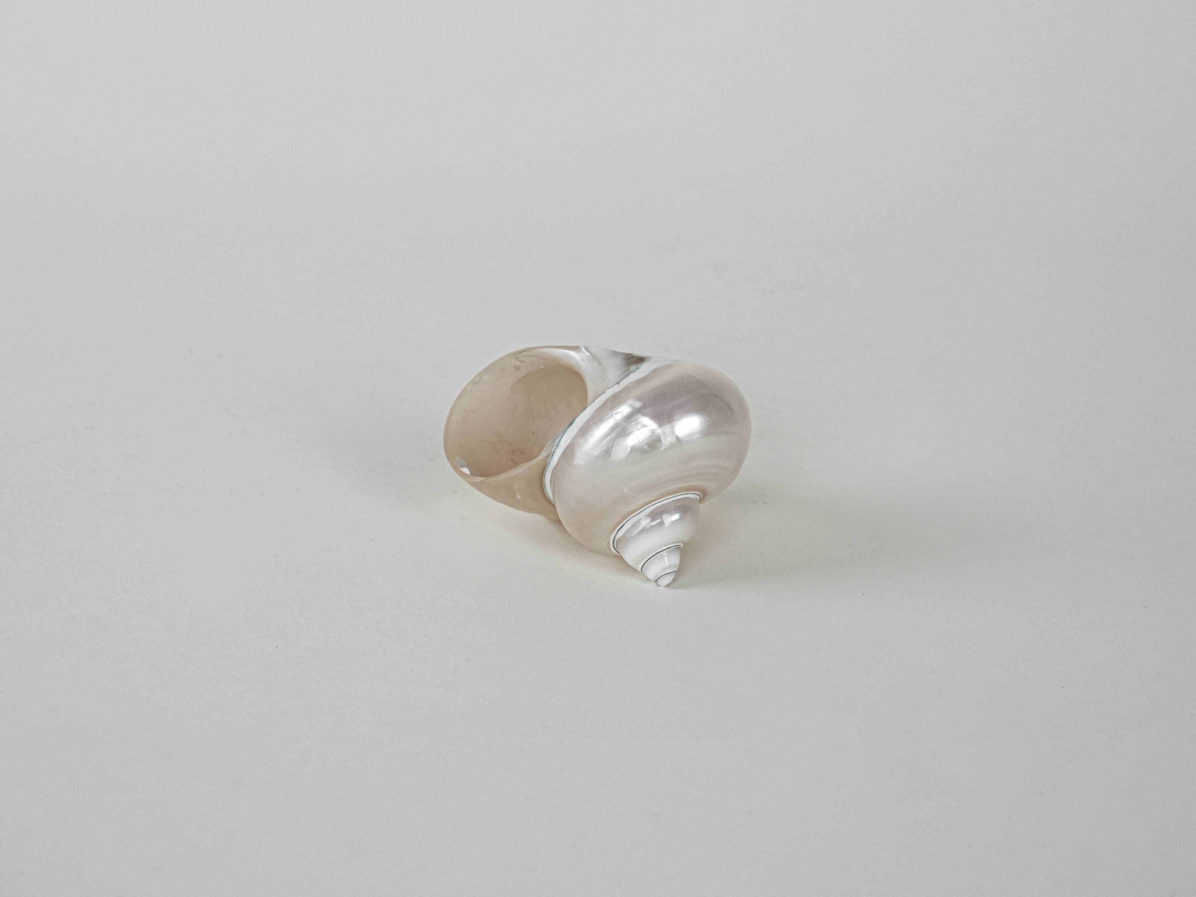 Mother-of-pearl seashell, Italian design, 1970s, made in Italy