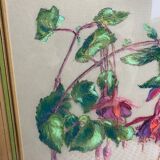 Old pastel Fuchsias framed