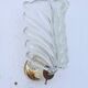 Art Decò Wall light Trasparent Murano Glass Leave by Barovier e Toso, 1950s
