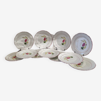 11 assiettes plates en faïence Ceranord modèle "Nicole" France