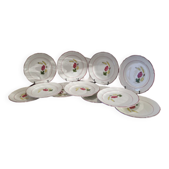 11 assiettes plates en faïence Ceranord modèle "Nicole" France