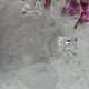 5 arc crystal glasses