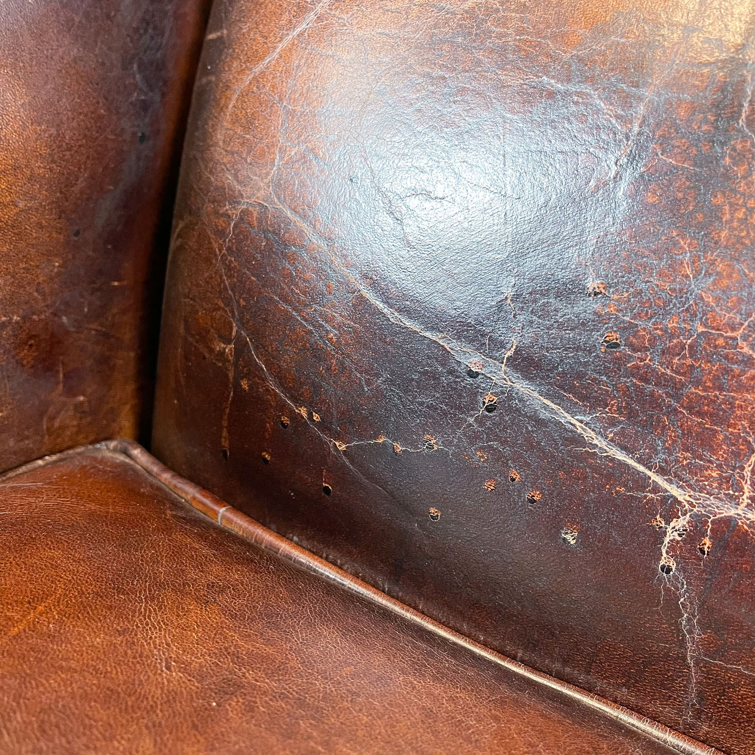 Vintage dark brown sheep leather wingback armchair