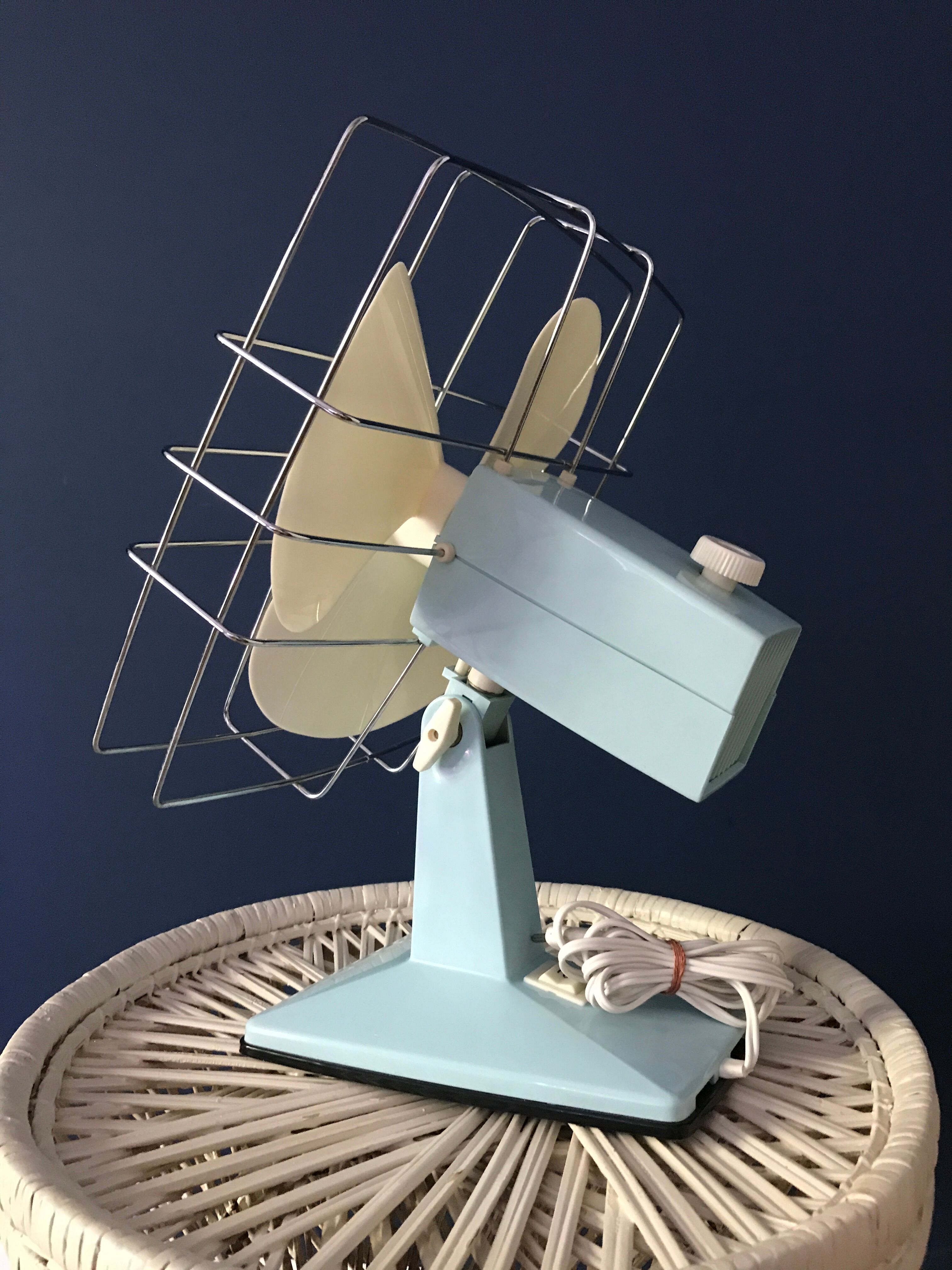 Vintage calor tilting fan mint